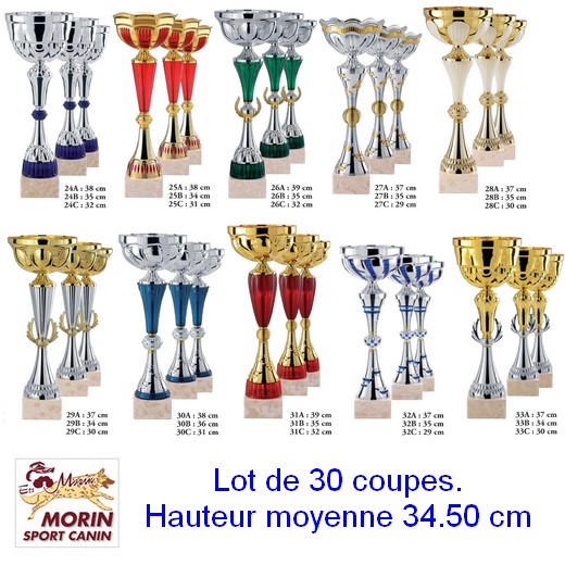 Lot de 30 coupes assorties