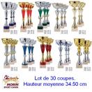 Lot de 30 coupes assorties