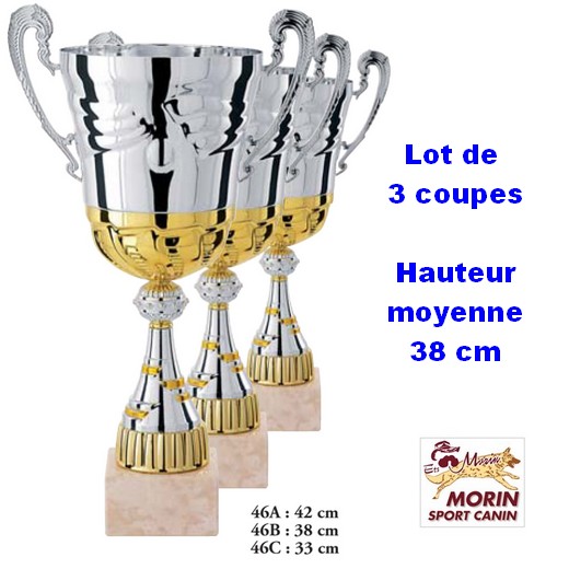 Lot de 3 trophées assorties (Coupes)