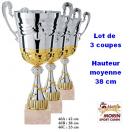 Lot de 3 trophes assorties (Coupes)