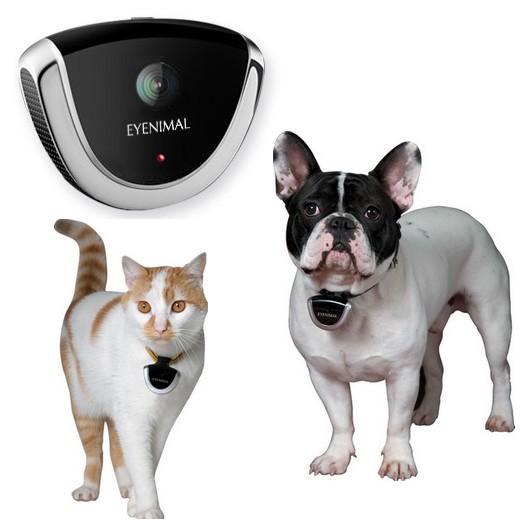 Caméra Petcam numérique chien et chat Eyenimal