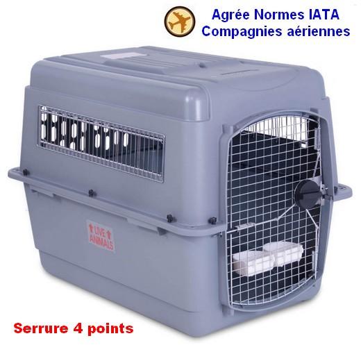 Cage de transport SKY KENNEL T2 Chien 71 X 52 X 55 cm - Vetogroupe