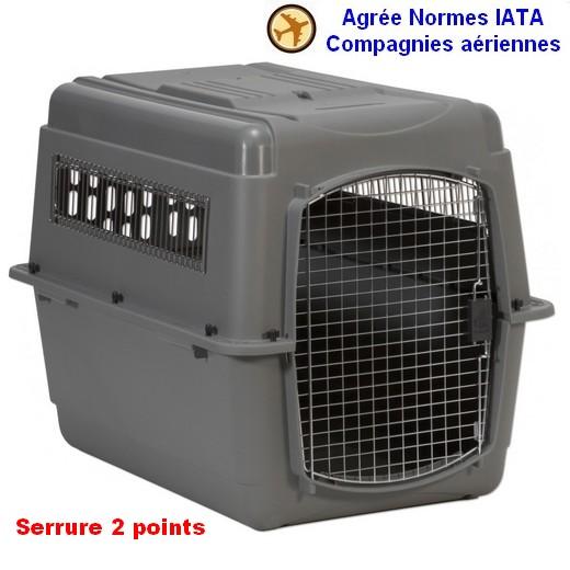 Cage de Transport pour Chien Kennel taille 7, xxl- La Toutounière