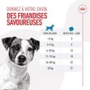 Friandise Training Treats - Royal Canin - image 4