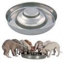 Plat  chiot en inox 37 cm