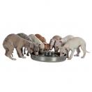 Plat  chiot en inox 37 cm - image 2