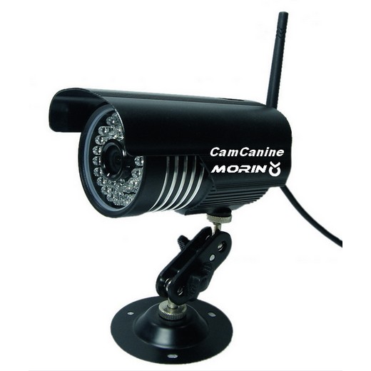 Caméra de surveillance des chiens pour chenil ou nurserie - CamCanine