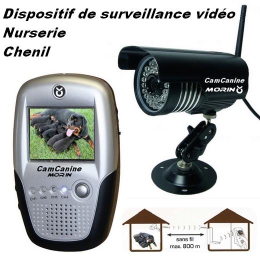 Caméra sécurité. Chenils en kit pour chien, parc à chien. Morin fabricant  distributeur de chenils CPRS pro pour chien.