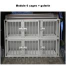 Cage de transport pour chiens DogBox Pro - module 6 cages - image 3