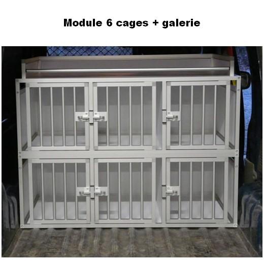 Cage de transport pour chiens DogBox Pro double. Caisses de transport.  Morin : Accessoires pour le transport et le voyage en voiture, pour chien  et chat