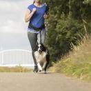 Ceinture + laisse de randonne Doggy Jogging - image 2