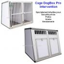 Cage de transport DogBox Pro Intervention