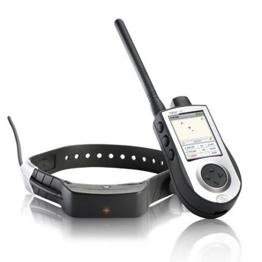Sport Dog Tek 1.0 - Collier de localisation GPS chien de chasse