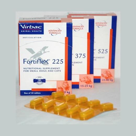 Fortiflex, anti-arthrose pour les articulations du chien