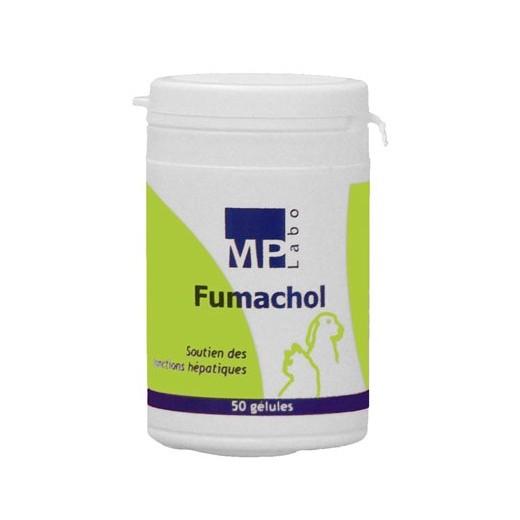 Fumachol - Soutien des fonctions hépatiques