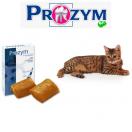 Prozym Flin hygine bucco dentaire du chat