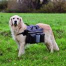 Sacoche de randonnée pour chien - Sport Canin