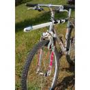 Barre droite Canibike VTT ou vlo + ligne de trait 1 chien - image 5