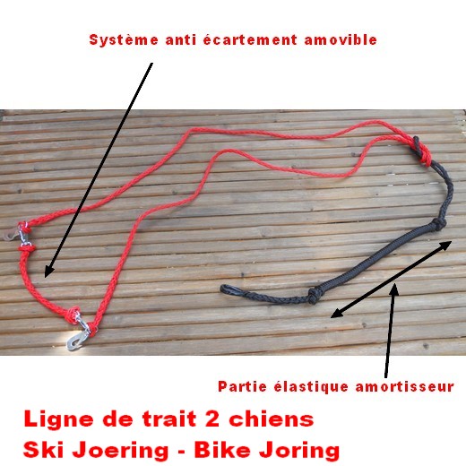 Ligne de trait 2 chiens pour vélo / Bike Joëring / Canicross / Ski Joering