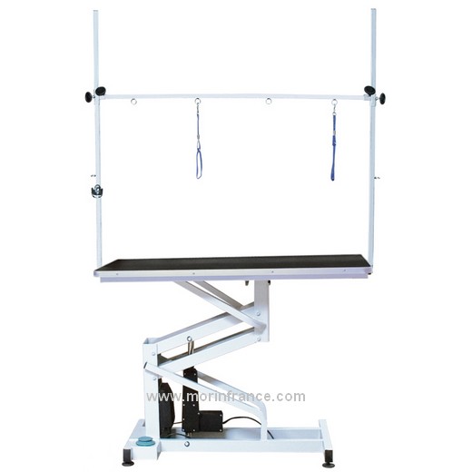 Table de toilettage électrique