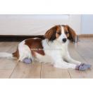 Chaussettes pour chien avec pastilles anti dérapantes - image 3