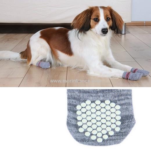 Chaussettes antidérapantes pour chien, chaussettes pour chien grises -  Morin France