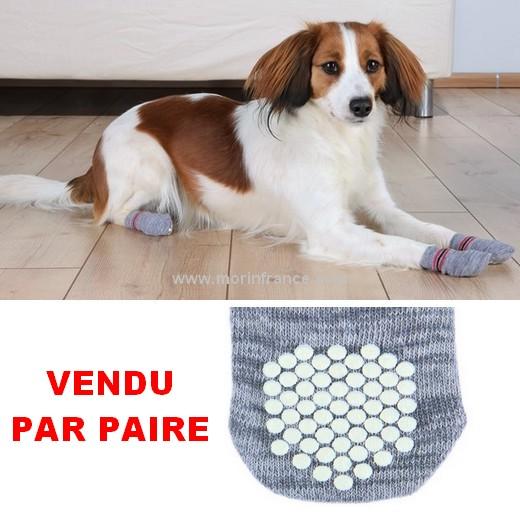 Utilisation intérieure Chaussettes antidérapantes Expawlorer pour chien Protection des pattes 