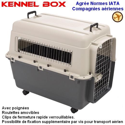 Cage de transport Kennel Box. Caisse Vari Kennel pour chien et