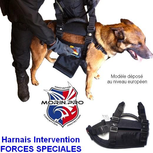 Harnais d'intervention pour chien - Sécurité et forces spéciales. Morin  France : accessoires et équipement pour chiens