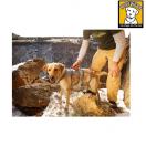 Harnais pour chien Doubleback - Ruff Wear - image 4