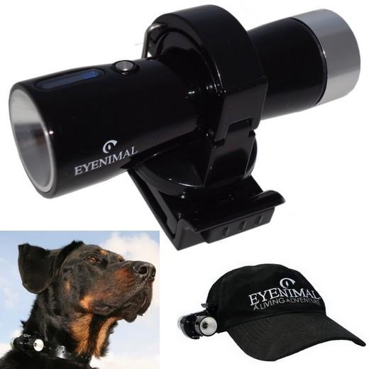 Camera Eyenimal Pet Videocam - Dressage - Comportement Chien