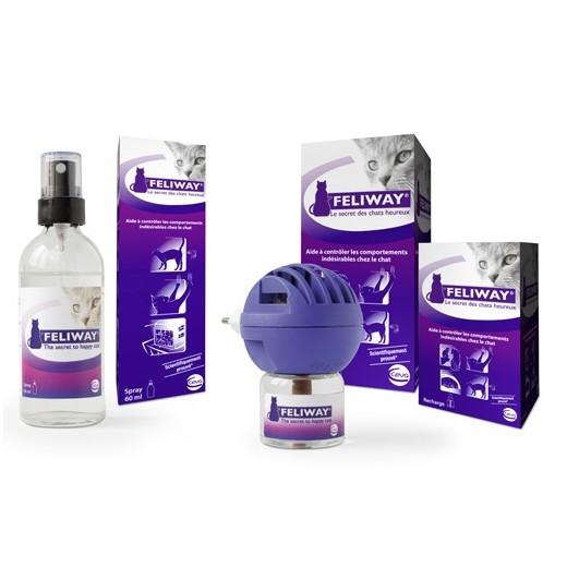 Soldes Pheromone Chat - Nos bonnes affaires de janvier