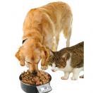 Gamelle pour chien et chats avec balance intégrée - Intelligent pet Bowl - Eyenimal - image 2