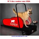 Tapis roulant DOG PACER Home Trainer pour chiens - image 3