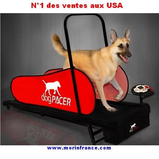 Tapis de course Verybig-3196-3