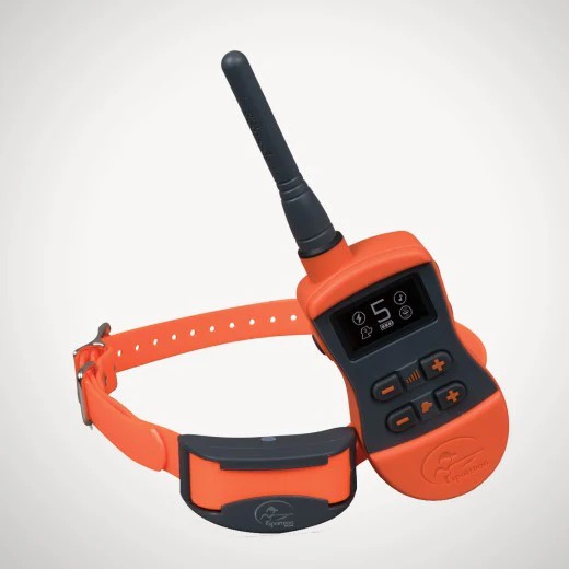 SD875 - Collier de dressage compact SportDog - Portée 800 m