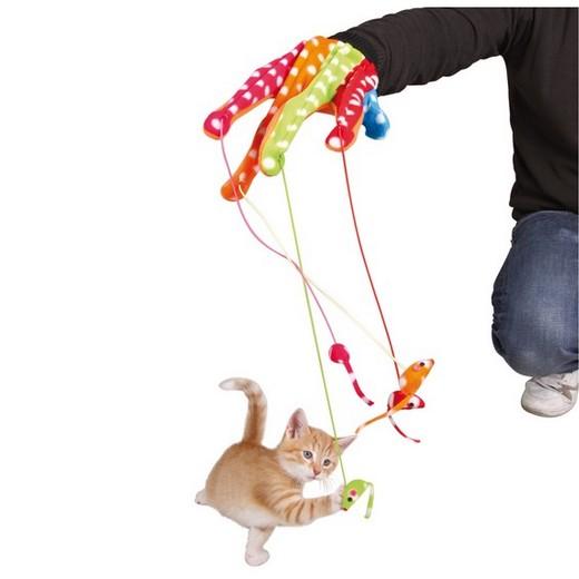 Gant Avec Souris Tapis Et Jouets D Eveil Interactif Morin Accessoires Et Jouet Pour Chat Et Chaton