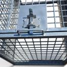 Cage de transport sp�ciale capture chien - image 4