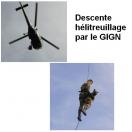 Harnais hlitreuillage Pro, pour chien - image 3