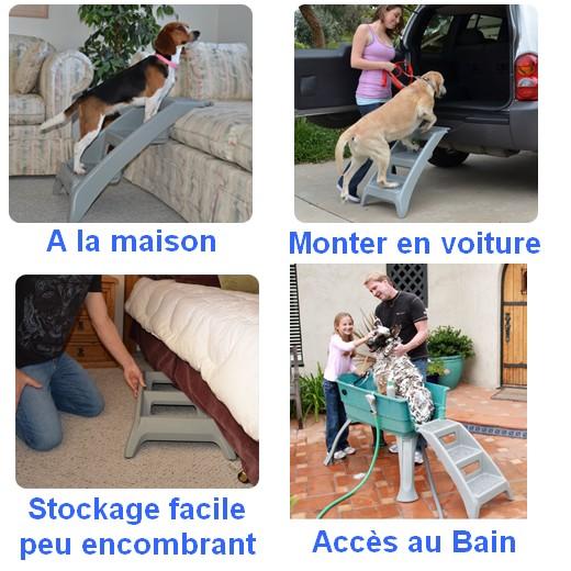 escalier pour chien rampe pour chien escalier pour chien escalier