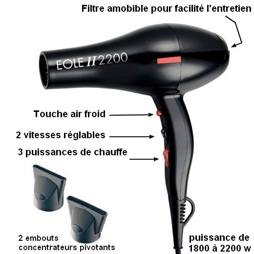 Séchoir à main PRO 2200 pour toilettage