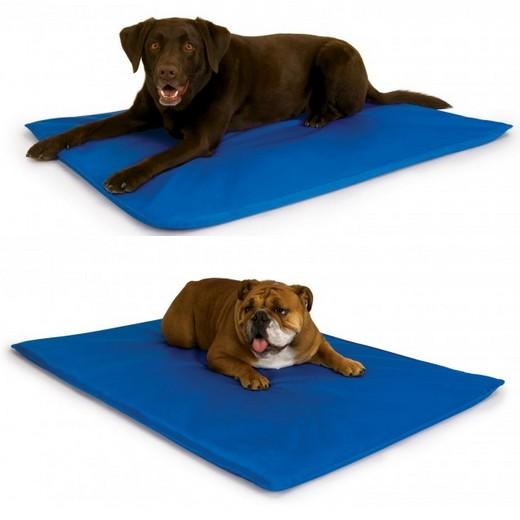 Tapis de voiture pour chien et chat, pour un habitacle toujours propre