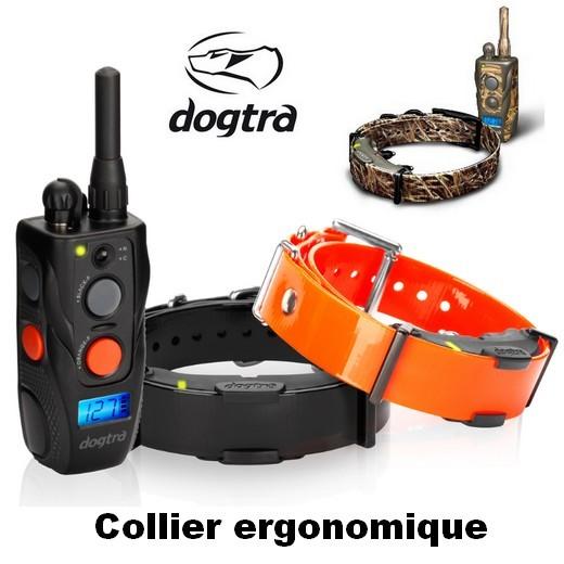 Dogtra ARC 800 et 802 - Collier de dressage pour chien, portée 800 m
