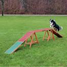 Passerelle Agility Training Concept