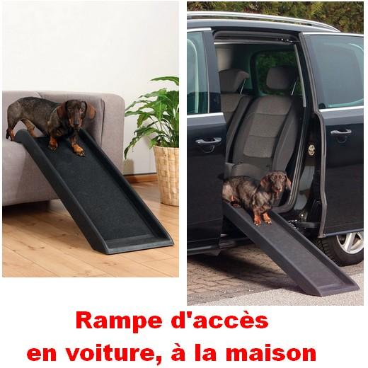 Rampe pour chien : définition, types et prix - PagesJaunes