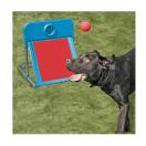 Boite Flyball Training Concept