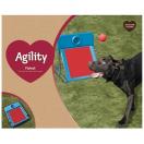 Boite Flyball Training Concept - image 2
