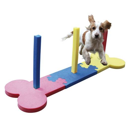 Équipements D'agilité Pour Chien, Kit De Démarrage D'entraînement Pour  Parcours D'obstacles, Jeux De Plein Air Pour Animaux De Compagnie Pour  Arrière-cour Comprenant Un Tunnel Pour Chien, Un Anneau De Saut, Des Sauts