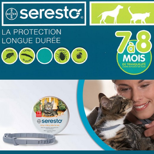 Seresto, collier anti parasitaire pour chat