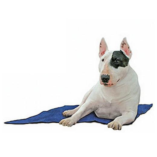 Tapis rafraîchissant pour chien